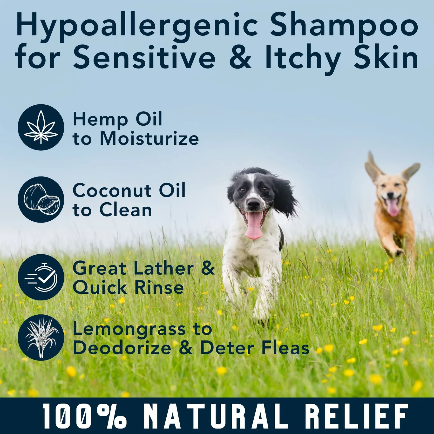 4Legger Moisturize, Lemongrass Hypoallergenic USDA Certified Organic Shampoo (8oz) | Dry, Dandruff Shampoo for Dogs and Cats