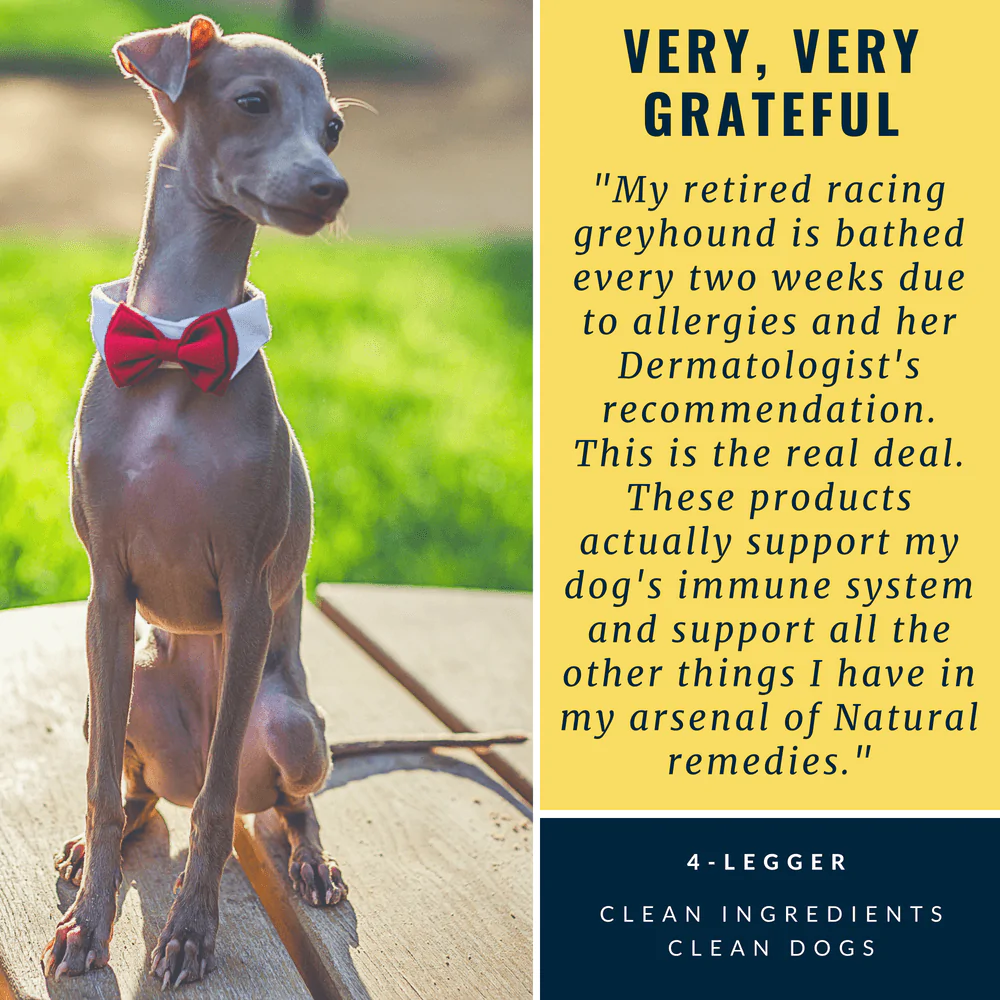 4Legger Moisturize, Lemongrass Hypoallergenic USDA Certified Organic Shampoo (8oz) | Dry, Dandruff Shampoo for Dogs and Cats