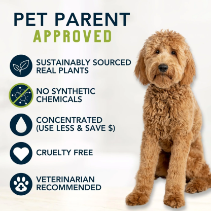 4Legger Moisturize, Lemongrass Hypoallergenic USDA Certified Organic Shampoo (8oz) | Dry, Dandruff Shampoo for Dogs and Cats