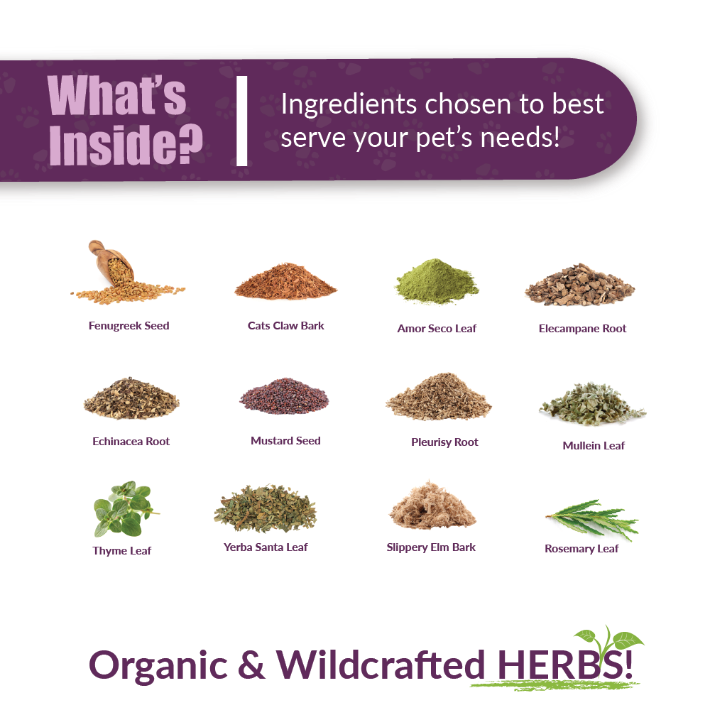 Amber Naturalz Numo Care™ Lung Health | Tracheal, Bronchial, Respiratory, Pollutants Support | Holistic Healthcare for Dogs and Cats