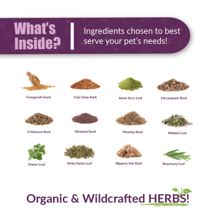 Amber Naturalz Numo Care™ Lung Health | Tracheal, Bronchial, Respiratory, Pollutants Support | Holistic Healthcare for Dogs and Cats