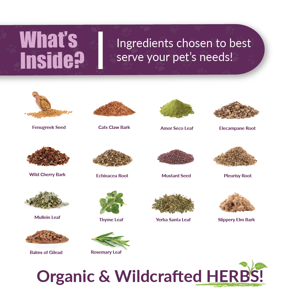 Amber Naturalz Numo Care™ Lung Health | Tracheal, Bronchial, Respiratory, Pollutants Support | Holistic Healthcare for Dogs and Cats