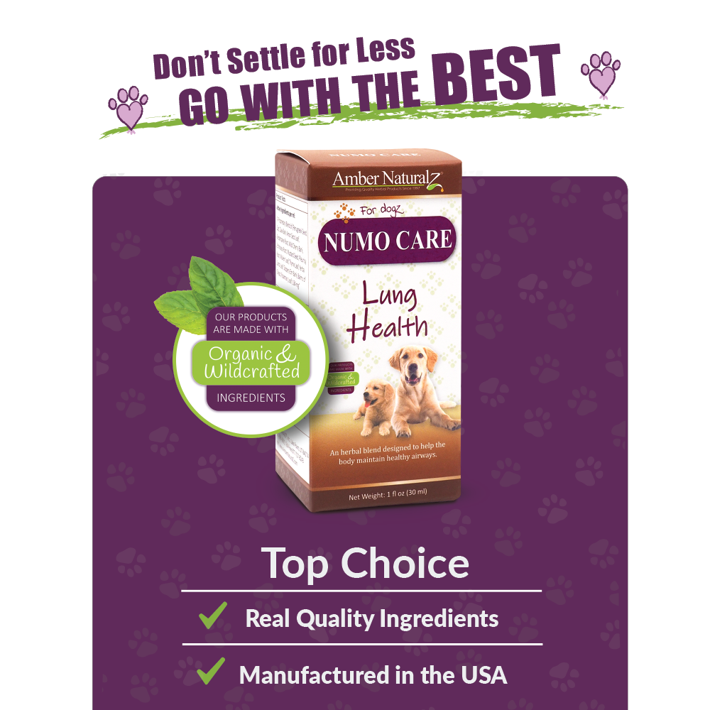 Amber Naturalz Numo Care™ Lung Health | Tracheal, Bronchial, Respiratory, Pollutants Support | Holistic Healthcare for Dogs and Cats