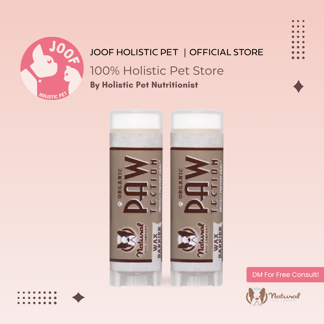 Natural Dog Company PawTection Stick (0.15oz & 2oz) Paw Protection Hot Pavement Wax Balm for Dogs