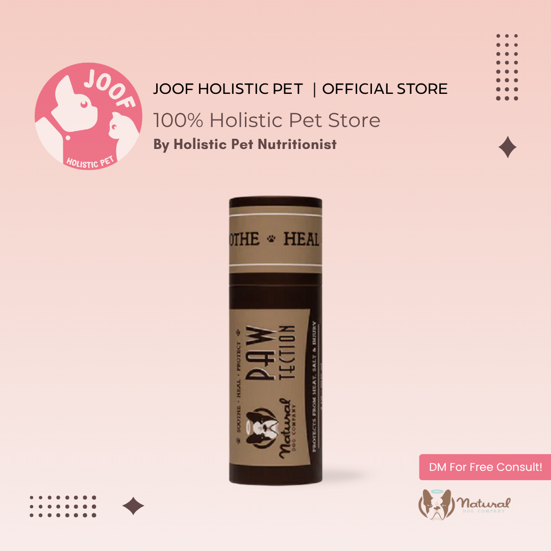 Natural Dog Company PawTection Stick (0.15oz & 2oz) Paw Protection Hot Pavement Wax Balm for Dogs