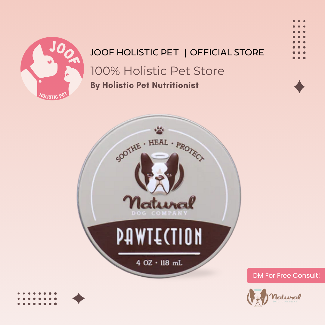 Natural Dog Company PawTection Tin (2oz & 4oz) Paw Protection Hot Pavement Wax Balm for Dogs