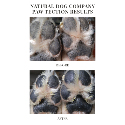 Natural Dog Company PawTection Tin (2oz & 4oz) Paw Protection Hot Pavement Wax Balm for Dogs
