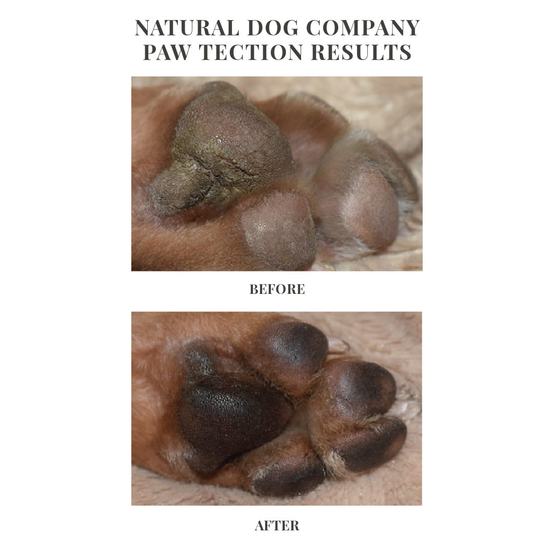Natural Dog Company PawTection Tin (2oz & 4oz) Paw Protection Hot Pavement Wax Balm for Dogs