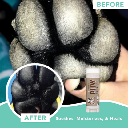 Natural Dog Company PawTection Stick (0.15oz & 2oz) Paw Protection Hot Pavement Wax Balm for Dogs
