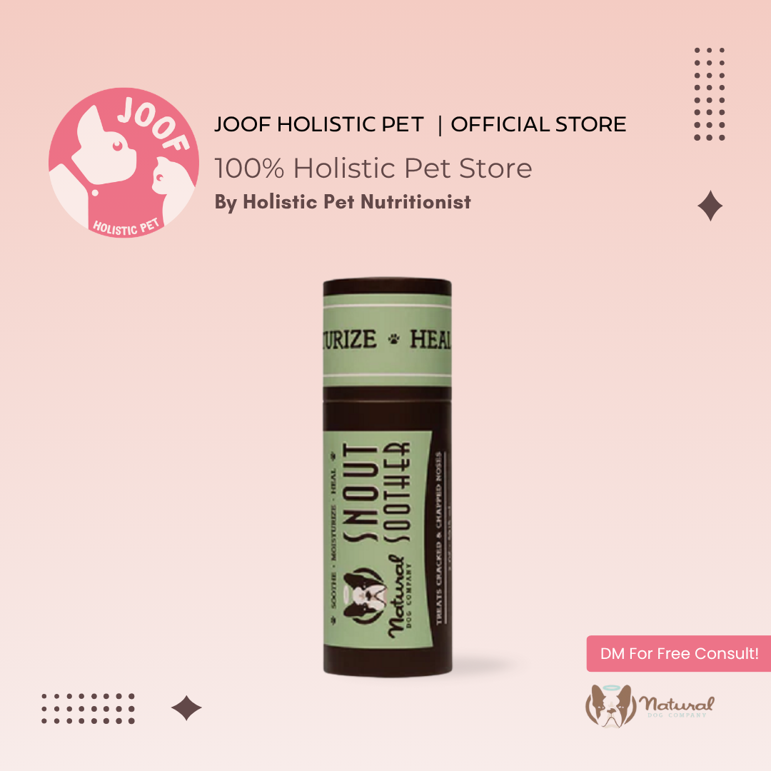 Natural Dog Company Snout Soother Stick (0.15oz & 2oz) Dry Nose Hyperkeratosis Healing Balm for Dogs