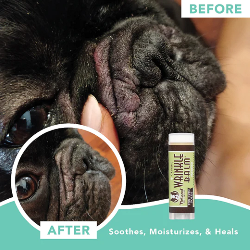Natural Dog Company Wrinkle Balm Stick (0.15oz & 2oz) Wrinkle Fold Yeast Infection Care Balm for Dogs
