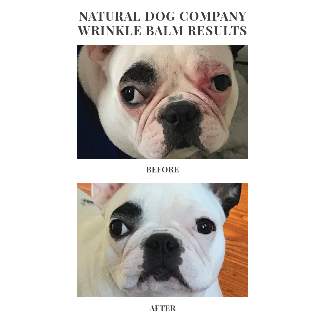 Natural Dog Company Wrinkle Balm Stick (0.15oz & 2oz) Wrinkle Fold Yeast Infection Care Balm for Dogs