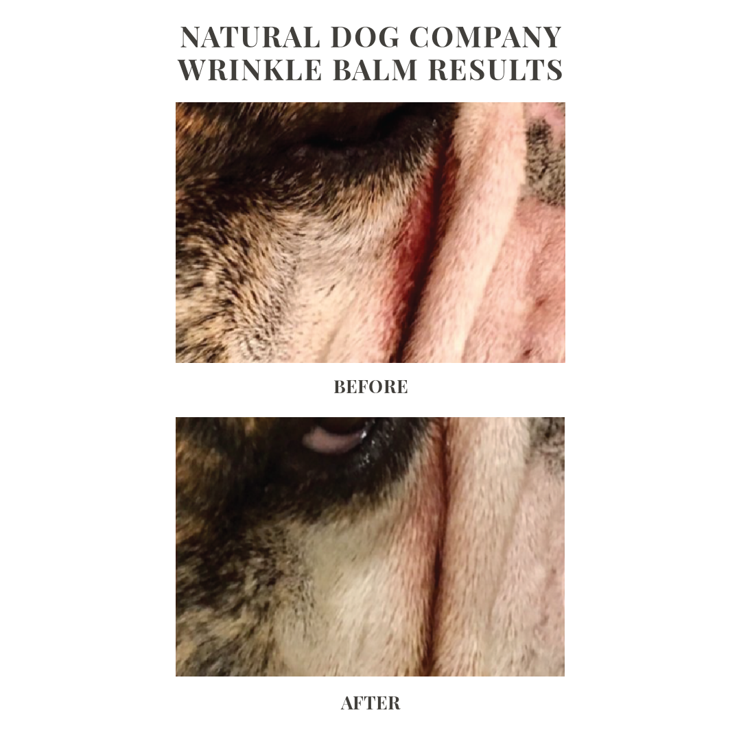 Natural Dog Company Wrinkle Balm Tin (2oz & 4oz) Wrinkle Fold Yeast Infection Care Balm for Dogs