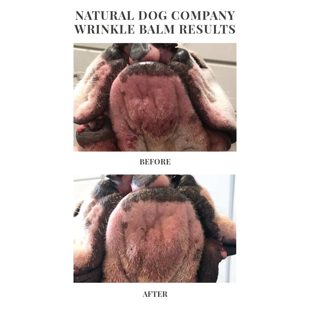 Natural Dog Company Wrinkle Balm Tin (2oz & 4oz) Wrinkle Fold Yeast Infection Care Balm for Dogs