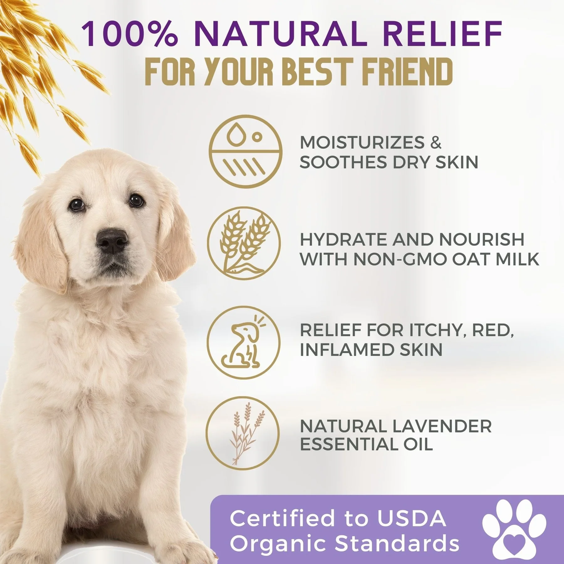 4Legger Oatmeal Lavender Organic Food Standard Shampoo (16oz) | Itchy, Irritated Skin Shampoo for Dogs