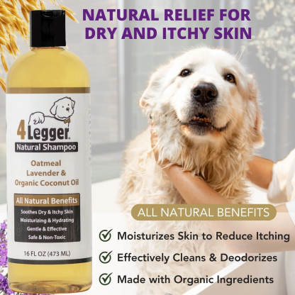 4Legger Oatmeal Lavender Organic Food Standard Shampoo (16oz) | Itchy, Irritated Skin Shampoo for Dogs