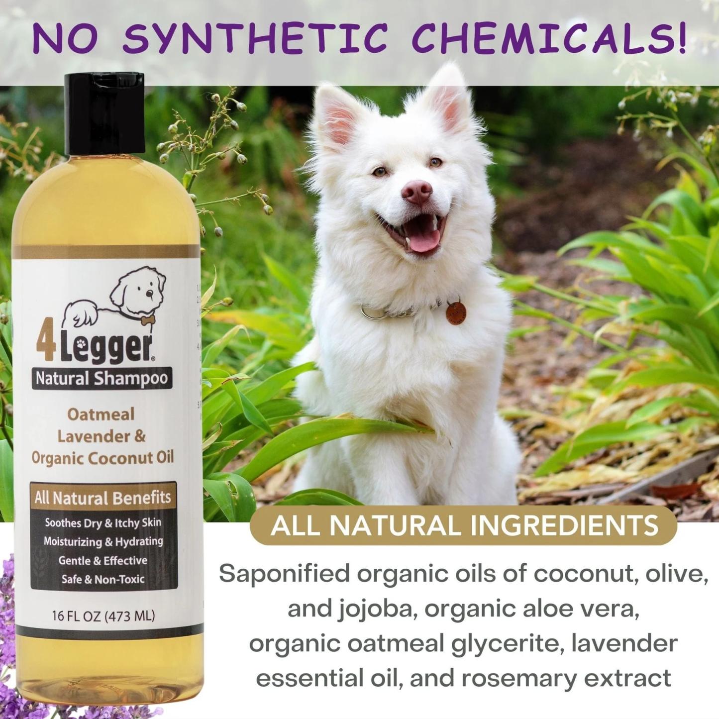 4Legger Oatmeal Lavender Organic Food Standard Shampoo (16oz) | Itchy, Irritated Skin Shampoo for Dogs