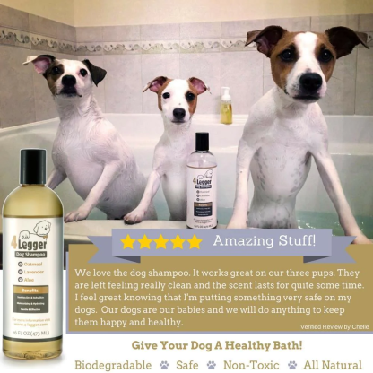 4Legger Oatmeal Lavender Organic Food Standard Shampoo (16oz) | Itchy, Irritated Skin Shampoo for Dogs