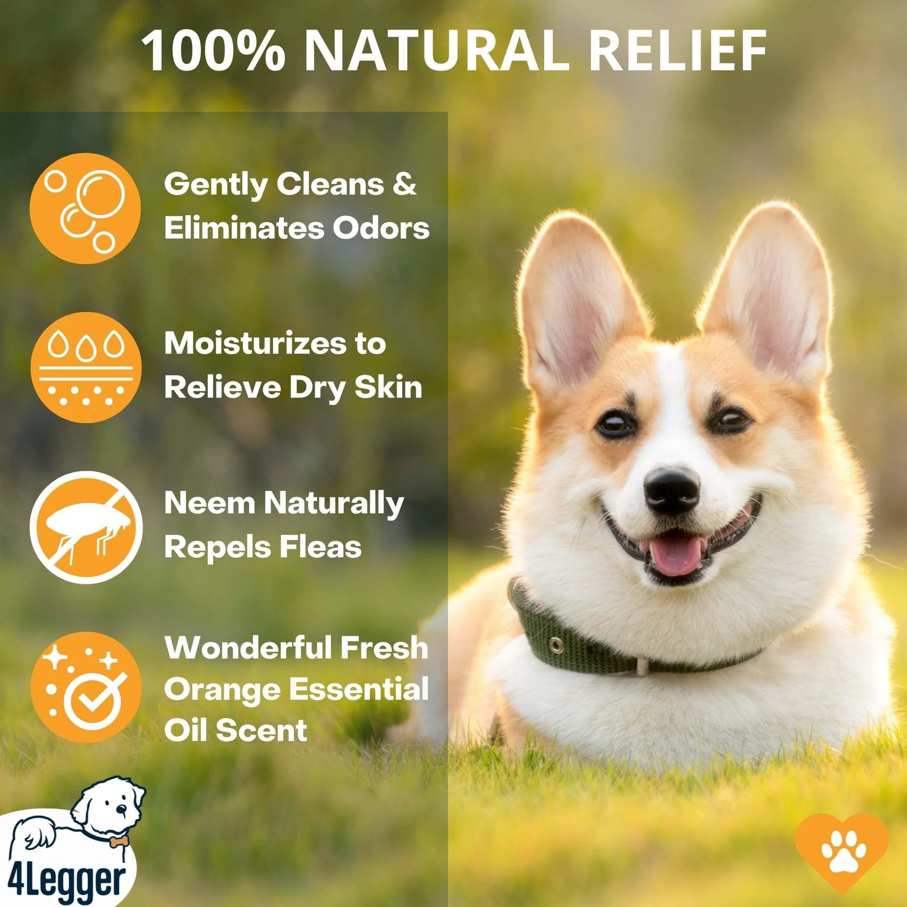 4Legger Revitalize, Neem Anti-Flea USDA Certified Organic Shampoo (8oz) | Flea Dermatitis, Irritated Skin Shampoo for Dogs