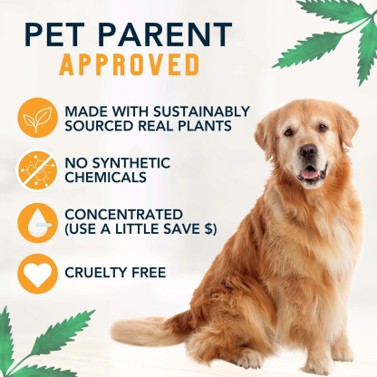4Legger Revitalize, Neem Anti-Flea USDA Certified Organic Shampoo (8oz) | Flea Dermatitis, Irritated Skin Shampoo for Dogs