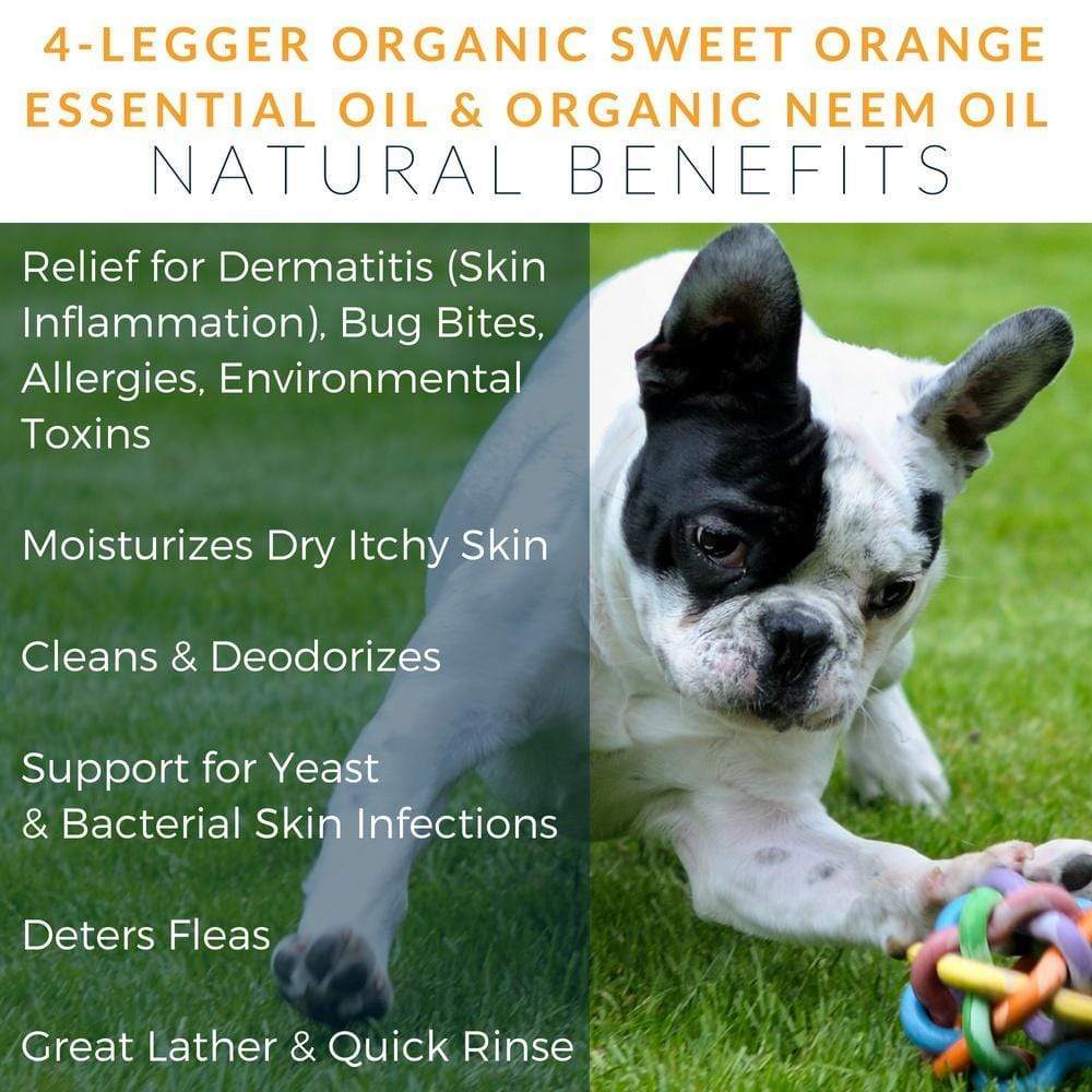 4Legger Revitalize, Neem Anti-Flea USDA Certified Organic Shampoo (8oz) | Flea Dermatitis, Irritated Skin Shampoo for Dogs