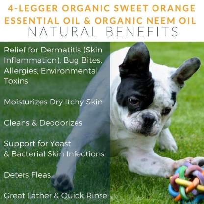 4Legger Revitalize, Neem Anti-Flea USDA Certified Organic Shampoo (8oz) | Flea Dermatitis, Irritated Skin Shampoo for Dogs