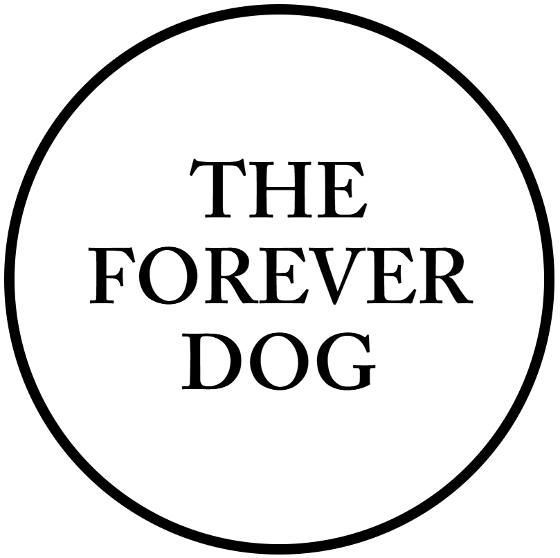 The Forever Dog