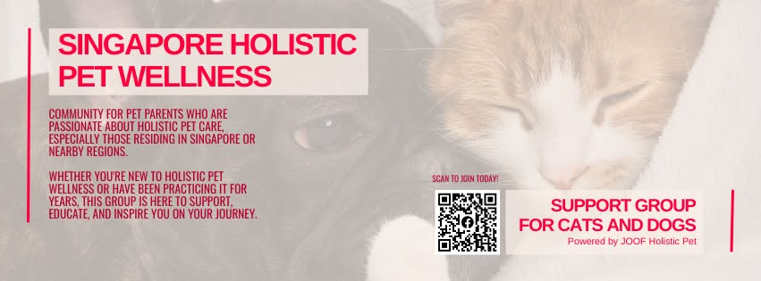 Singapore Holistic Pet Wellness Community
