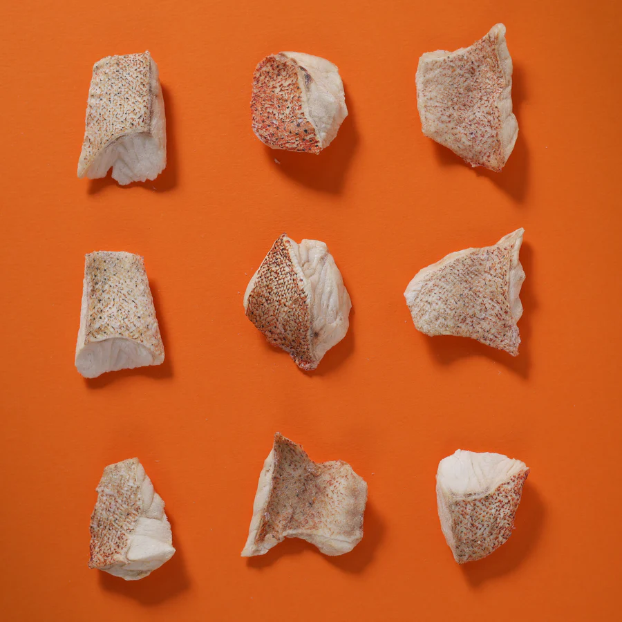Taki Pets Red Grouper | Freeze-Dried Treats Whole Food Toppers For Dogs and Cats | Premium Pet Treats
