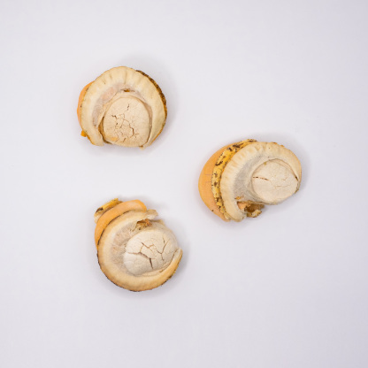 Taki Pets Hokkaido Scallop 30g  | Freeze-Dried Treats Whole Food Toppers For Dogs and Cats | Premium Pet Treats