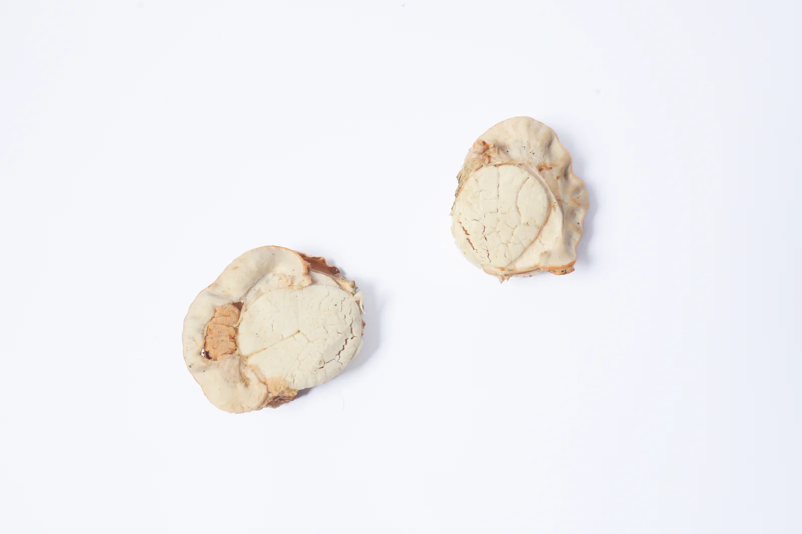 Taki Pets Hokkaido Scallop 30g  | Freeze-Dried Treats Whole Food Toppers For Dogs and Cats | Premium Pet Treats