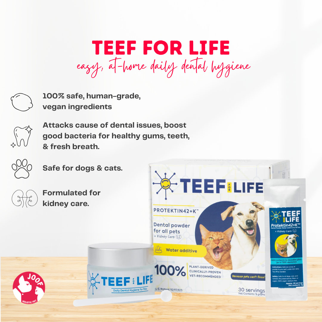 TEEF for Life Protektin42 Plus K Dental Kit Prebiotic Powder Plaque Tartar Oral Health No Brushing for Dogs and Cats
