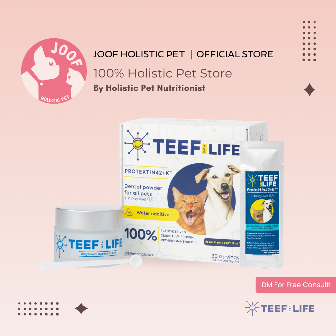 TEEF for Life Protektin42 Plus K Dental Kit Prebiotic Powder Plaque Tartar Oral Health No Brushing for Dogs and Cats