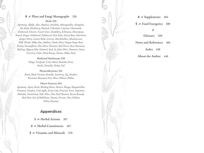 The Herbal Dog Rita Hogan Herbal Remedies Natural Dog Care Book