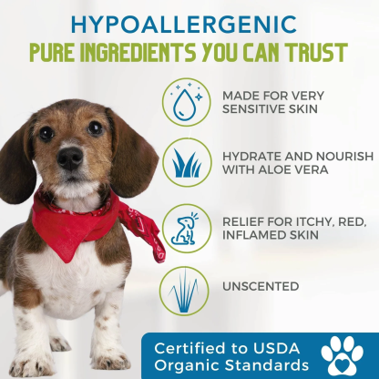 4Legger Unscented Aloe Vera Hypoallergenic Organic Food Standard Shampoo (16oz) | Ultra-Sensitive, Dry, Inflamed Skin Shampoo for Dogs and Cats