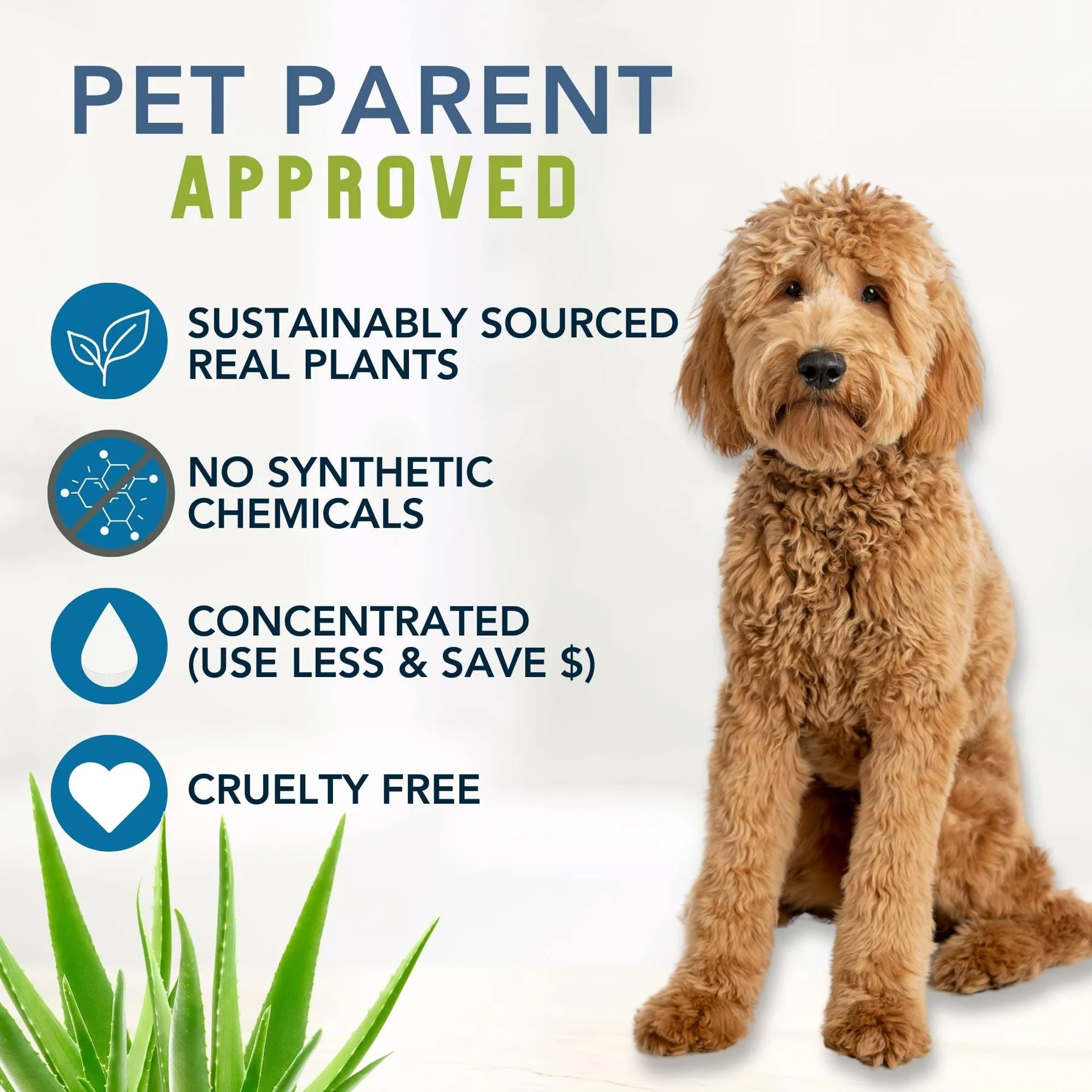 4Legger Unscented Aloe Vera Hypoallergenic Organic Food Standard Shampoo (16oz) | Ultra-Sensitive, Dry, Inflamed Skin Shampoo for Dogs and Cats