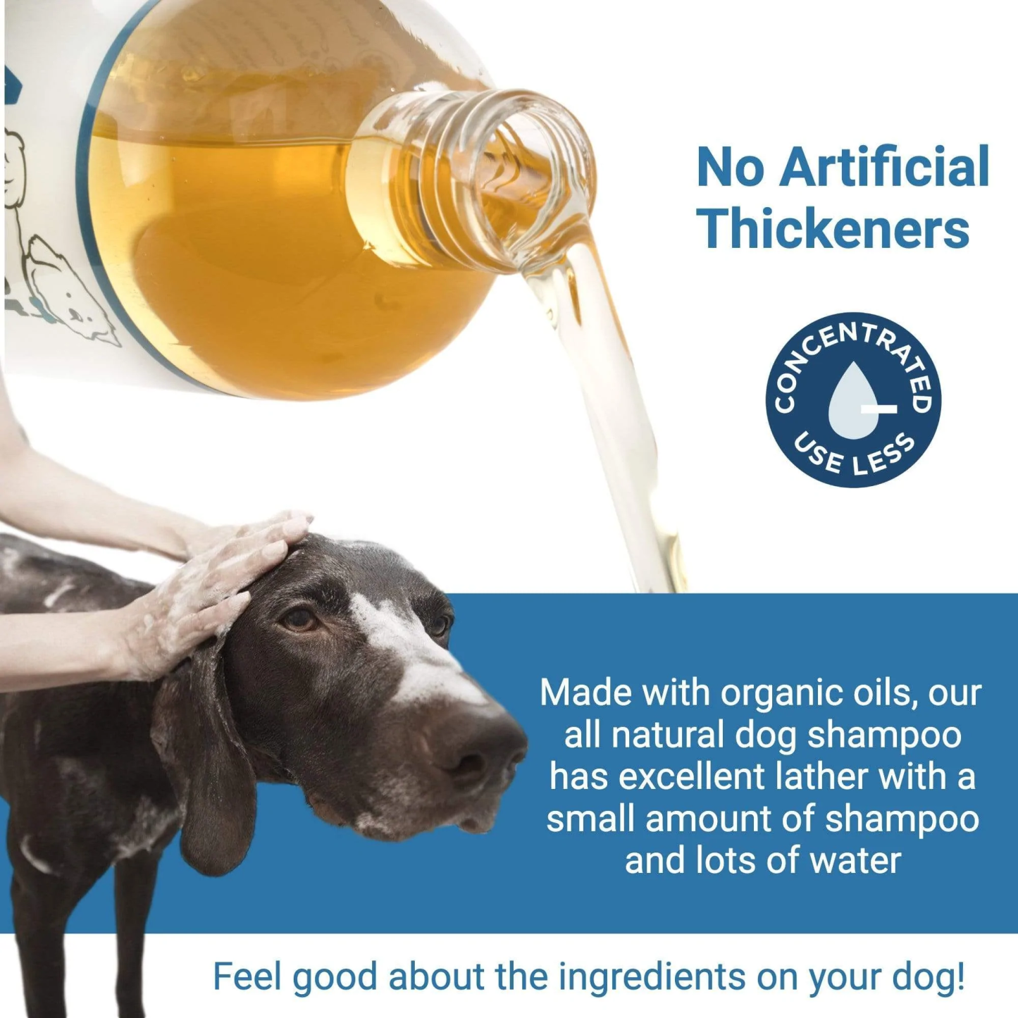 4Legger Unscented Aloe Vera Hypoallergenic Organic Food Standard Shampoo (16oz) | Ultra-Sensitive, Dry, Inflamed Skin Shampoo for Dogs and Cats