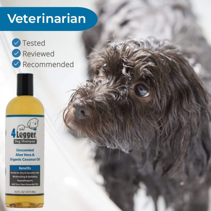 4Legger Unscented Aloe Vera Hypoallergenic Organic Food Standard Shampoo (16oz) | Ultra-Sensitive, Dry, Inflamed Skin Shampoo for Dogs and Cats