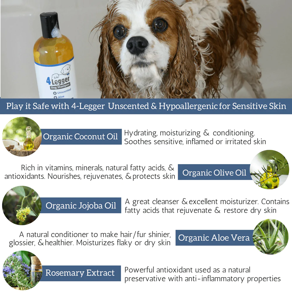 4Legger Unscented Aloe Vera Hypoallergenic Organic Food Standard Shampoo (16oz) | Ultra-Sensitive, Dry, Inflamed Skin Shampoo for Dogs and Cats