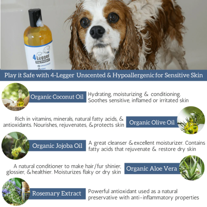 4Legger Unscented Aloe Vera Hypoallergenic Organic Food Standard Shampoo (16oz) | Ultra-Sensitive, Dry, Inflamed Skin Shampoo for Dogs and Cats