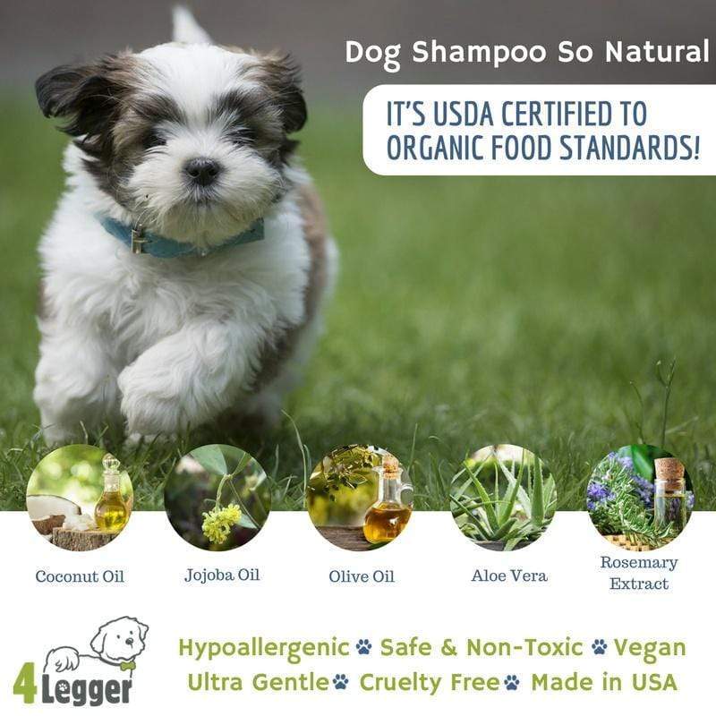 4Legger Unscented Aloe Vera Hypoallergenic Organic Food Standard Shampoo (16oz) | Ultra-Sensitive, Dry, Inflamed Skin Shampoo for Dogs and Cats