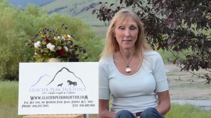 Glacier Peak Colloidal Silver (10 PPM) | Antiviral Anti-fungal Natural Antibiotics Immune Support | Holistic Healthcare for Dogs and Cats