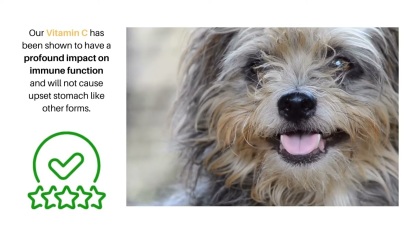 Dr. Goodpet Crystal C™ (2oz) | Vitamin C Immune Stress Oral Support | Holistic Healthcare for Dogs and Cats