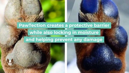 Natural Dog Company PawTection (Stick) | Paw Protection Balm | Natural Dog Grooming Essentials