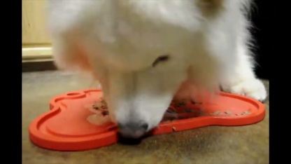 Mine Pet Platter - Bone Platter | Feeding Plate, Lick Mat, Anti-Bloat & Slow Feeding Mats, Bowls & Plate For Dogs & Cats