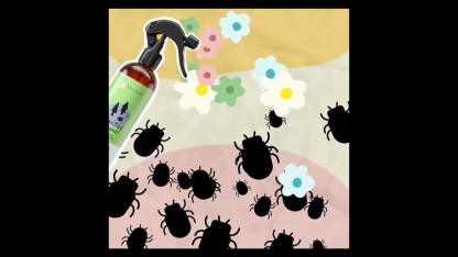 Kin & Kind Flea Tick Protect Spray - Lavender | Anti-Flea, Tick & Mosquito Spray For Dogs | Natural Pet Grooming Essentials