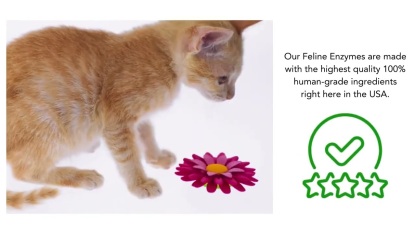 Dr. Goodpet Feline Digestive Enzymes™ (4oz) | Digestive Pancreatitis Support | Holistic Healthcare for Cats