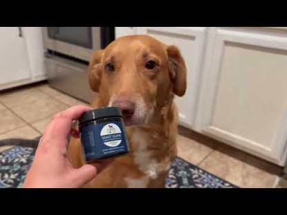 Four Leaf Rover Yeast Guard | Yeast Infection Support | Holistic Healthcare for Dogs