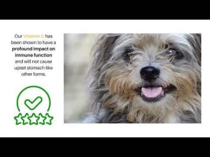 Dr. Goodpet Crystal C™ (2oz) | Vitamin C Immune Stress Oral Support | Holistic Healthcare for Dogs and Cats
