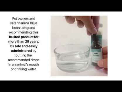 Dr. Goodpet Arthritis Relief ™ (1oz) | Arthritis Joint Support | Holistic Healthcare for Dogs and Cats